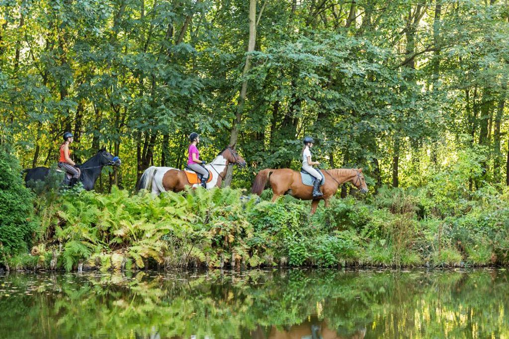 Szczepanów Rancho Slezanski Mlyn المظهر الخارجي الصورة