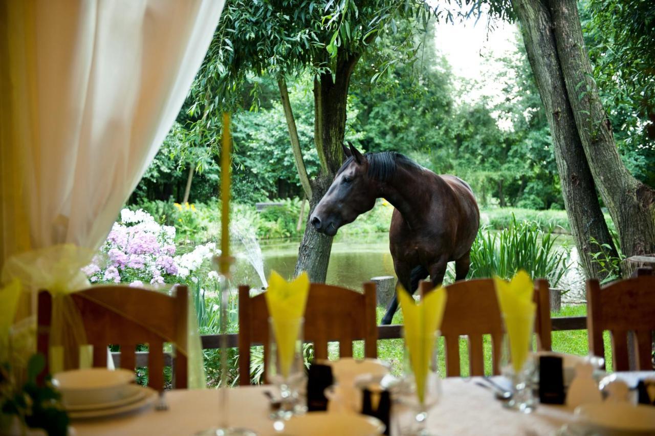 Szczepanów Rancho Slezanski Mlyn المظهر الخارجي الصورة